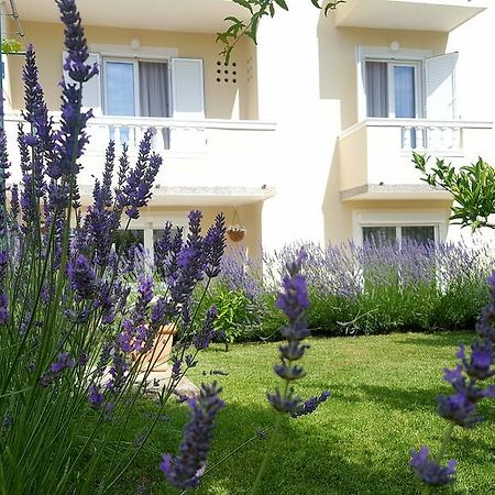 Apartment Branka Banjol المظهر الخارجي الصورة